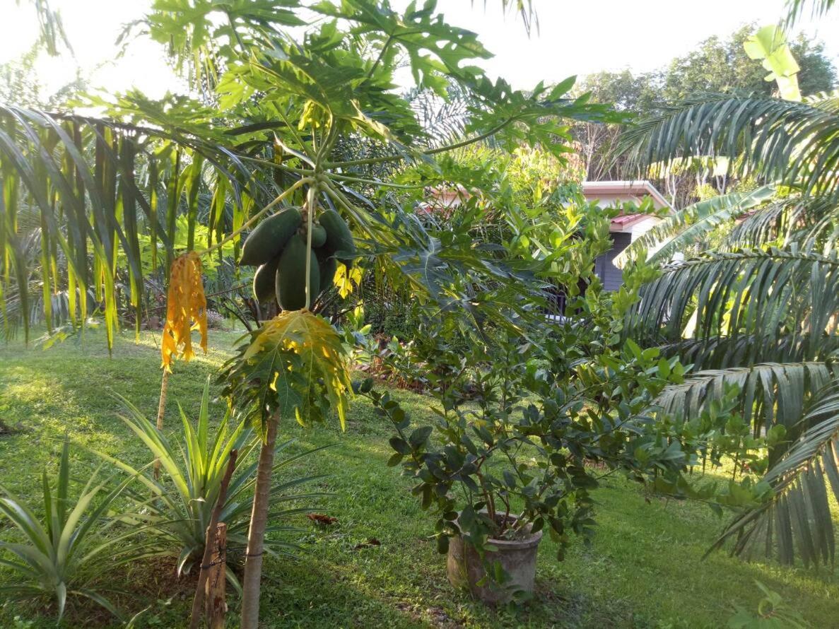 Baan Reenaa Lanta Ko Lanta Dış mekan fotoğraf